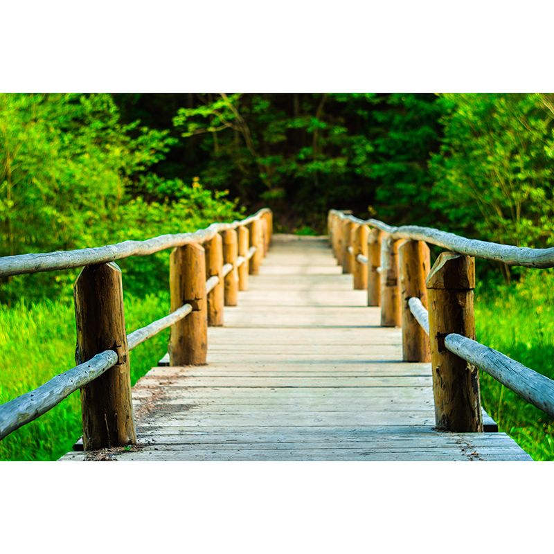 Outdoor Path Environmental Wall Mural Wallpaper Sitting Room Wall Mural