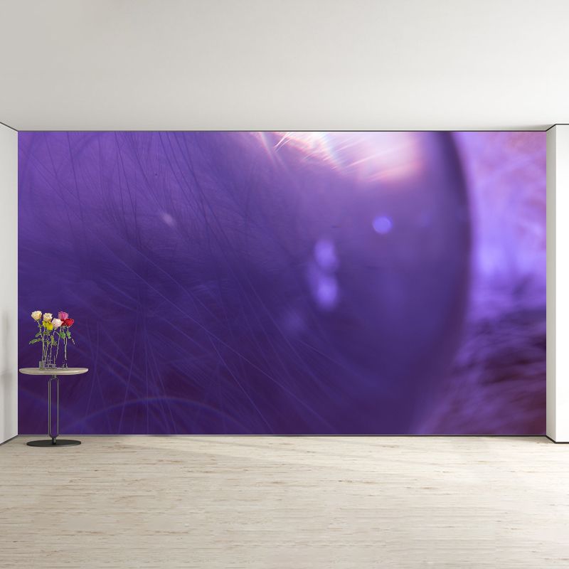 Feather Photography Mural Wallpaper Environment Friendly Living Room Wall Mural