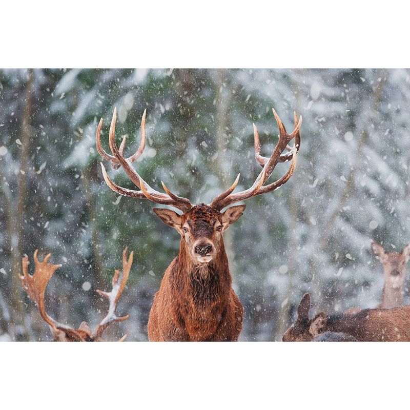 Deer Customized Modern Animal Mural Wallpaper Waterproofing, Personalized Size