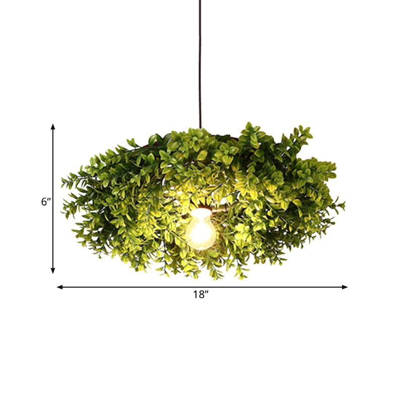 Lumo a soffitto nero in metallo Exposed Bulb 1 Bulb Luld LED Sospensione Apparecchio di illuminazione con decorazione delle piante