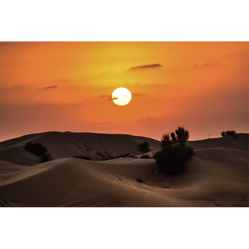 Desert Photography Environment Friendly Mural Wallpaper Bedroom Wall Mural
