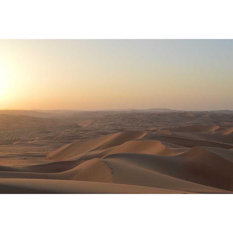 Desolate Desert Mural Wallpaper for Sitting Room Decor, Moisture Resistant