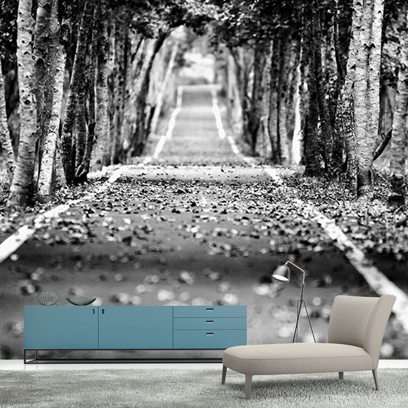 Photography Stain Resistant Wallpaper Outdoor Path Living Room Wall Mural