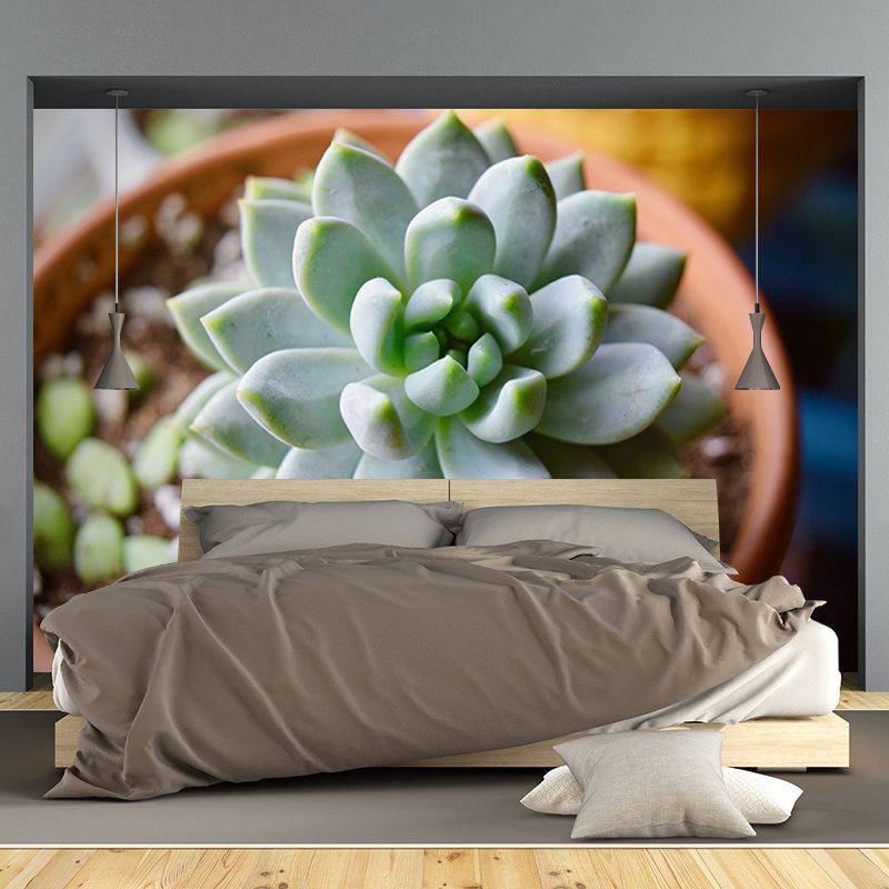 Tropical Plants Mural House Interior Wall Art, Made to Measure, Waterproofing