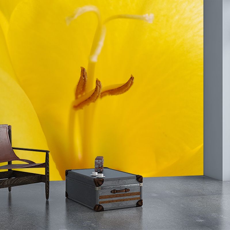 Gladiolus Wall Mural Decorative Mildew Resistant Home Decoration for Bedroom