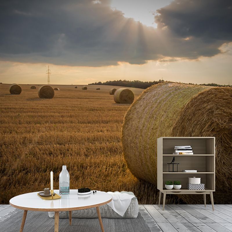 Contemporary Style Straw Bale Mural Stain Resistant Wall Art for Dining Room