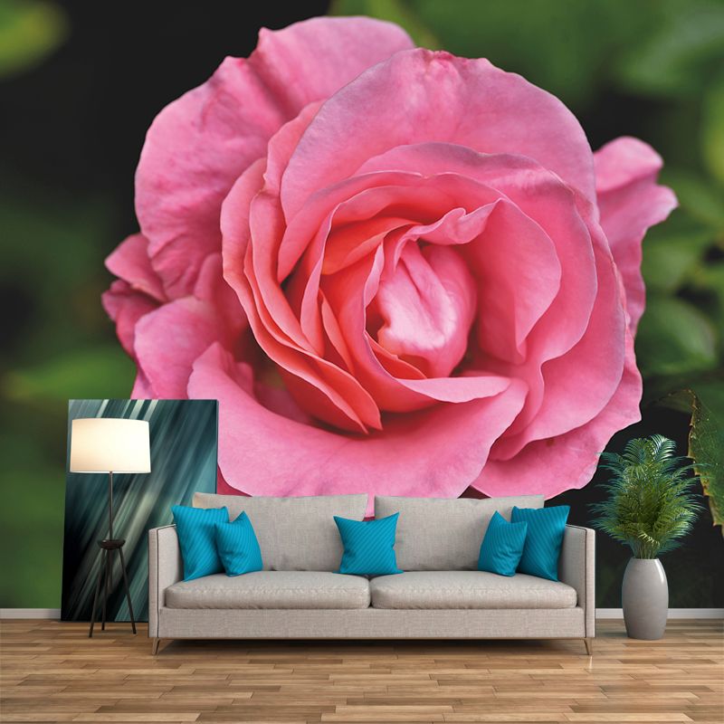 Contemporary Rose Flower Wall Mural Stain Resistant Wall Art for Living Room