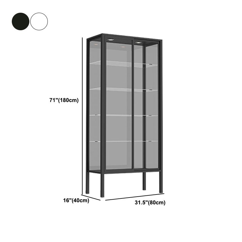 Modern Metal Curio Cabinet Glass Doors with Lighting, 31"L X 16"W