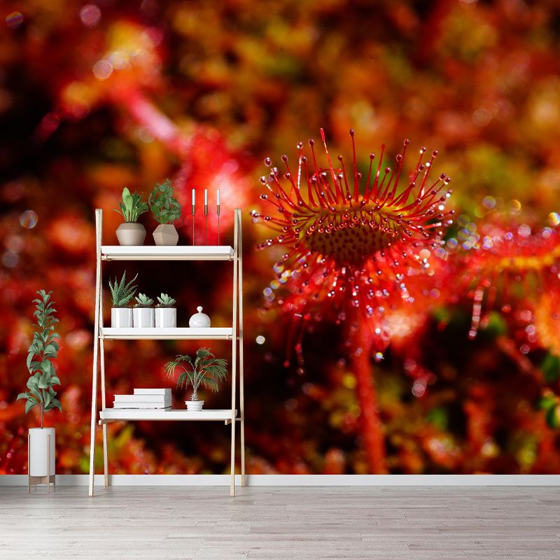 Contemporary Round Leaved Sundew Mural Environment Friendly Wallpaper for Bedroom