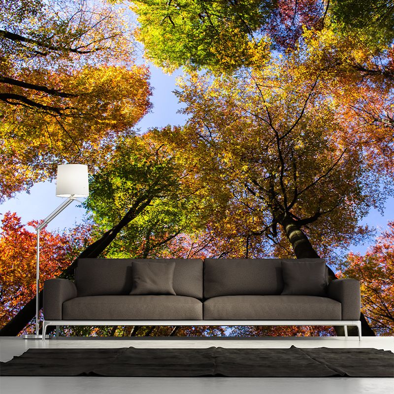 Beautiful Forest Mural Wallpaper Decorative Mildew Resistant Home Decor