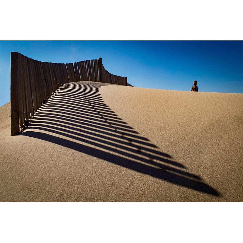 Desert Mural Wallpaper Horizontal Photography Style for Sleeping Room Decor