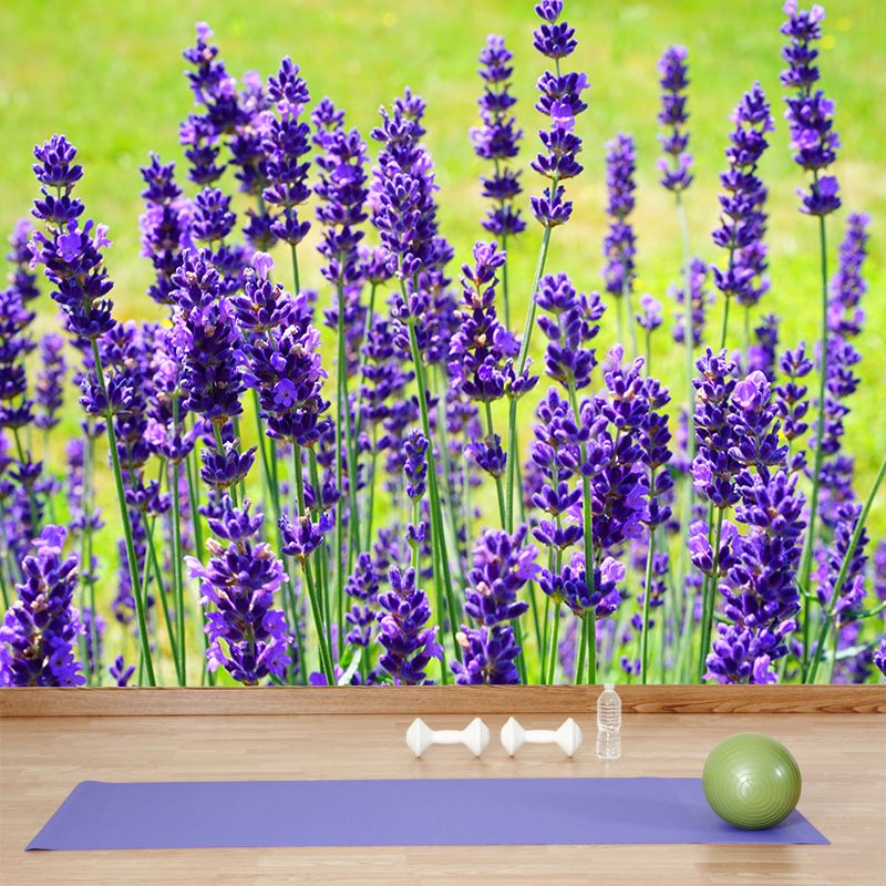 Blooming Lavender Wall Mural Decal for Living Room Bedroom, Stain Resistant