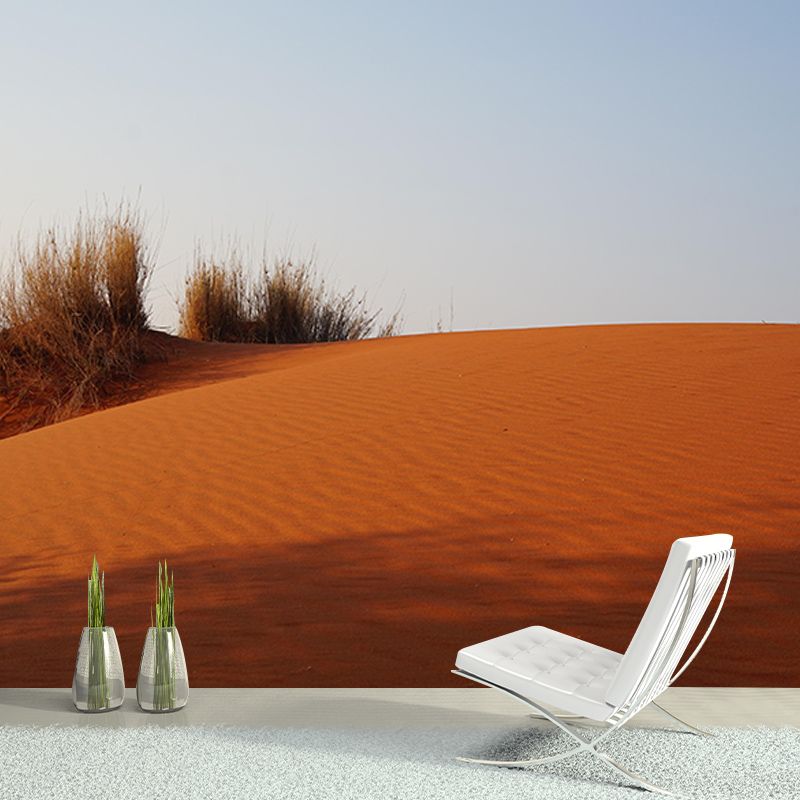 Desert Wall Contemporary Style Mural Wallpaper Mildew Resistant Wall Art