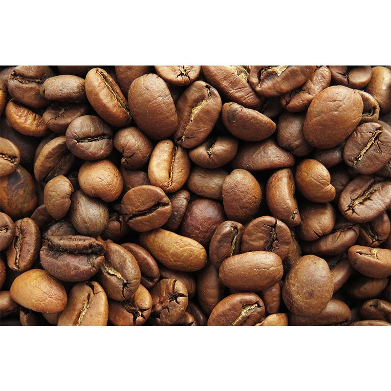 Simplicity Coffee Beans Mural Modern Decorative Eco-friendly for Decoration