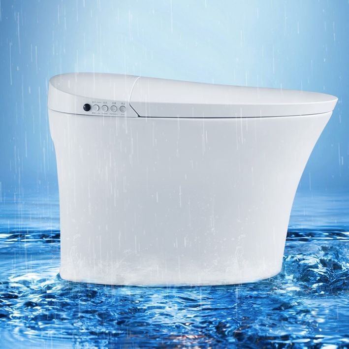 Elongated Floor Standing Bidet Contemporary Floor Mount Bidet