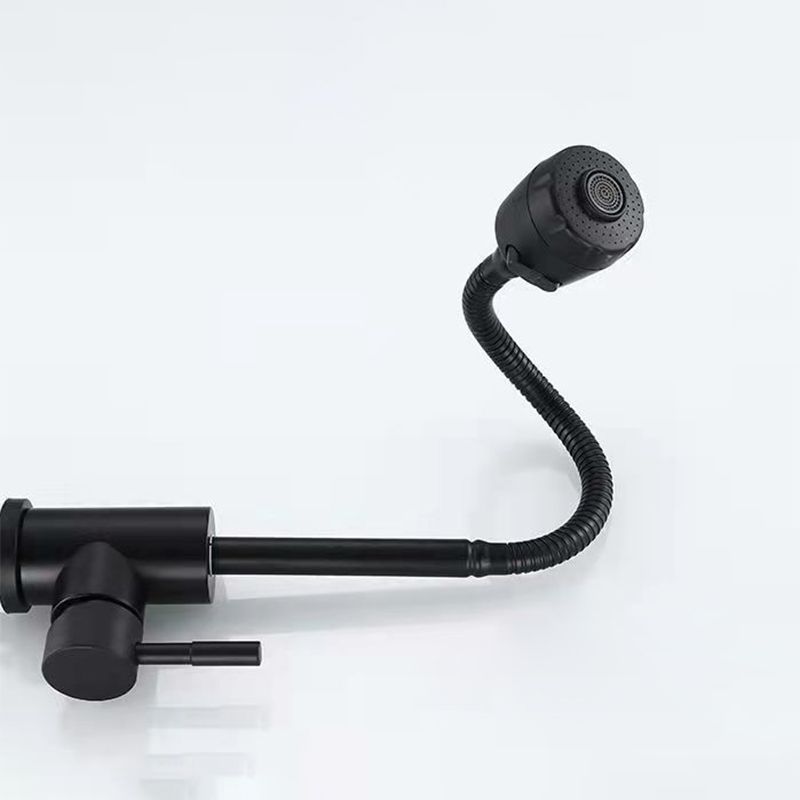 Modern 1-Handle 1-Hole Faucets Black and Silver Standard Kitchen Faucet