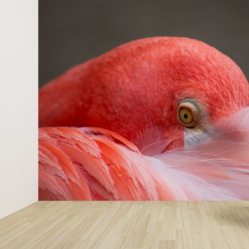Tropical Flamingo Wall Mural Customized Waterproofing Wall Covering for Living Room