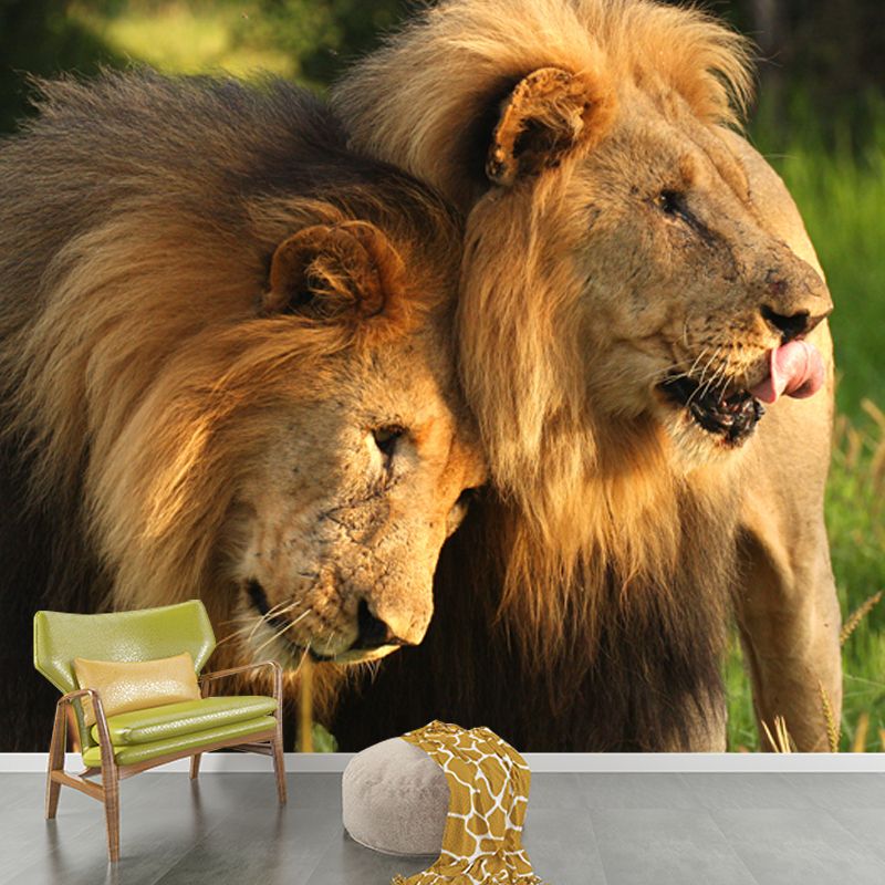 Whole Grassland Lions Mural Wallpaper for Bedroom Wild Animal Wall Art in Brown, Washable