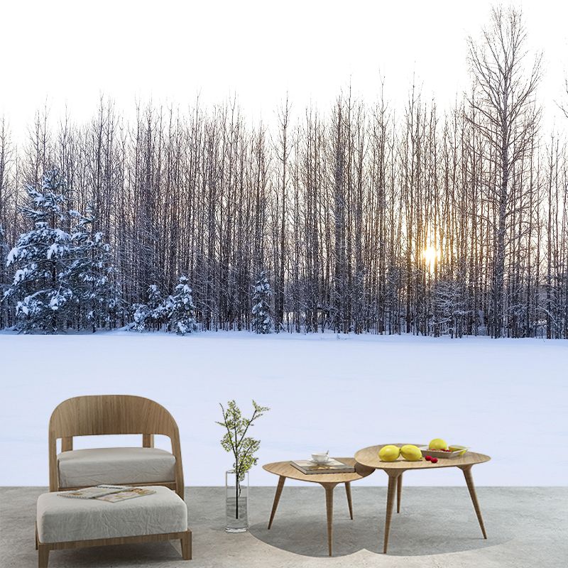 Contemporary Forest Wall Mural Wallpaper Eco-friendly Wall Mural in Bright Color