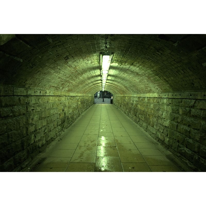 3D Illusion Wall Mural Contemporary Mildew Resistant Wall Art for Living Room