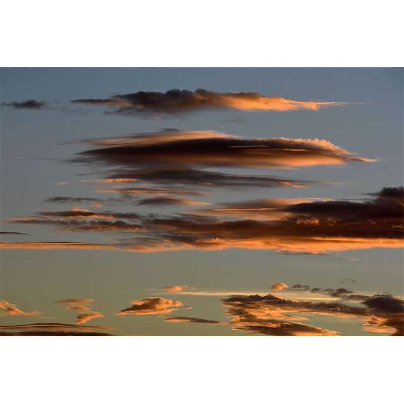 Contemporary Style Sunset Mural Mildew Resistant Wall Covering for Living Room Decor