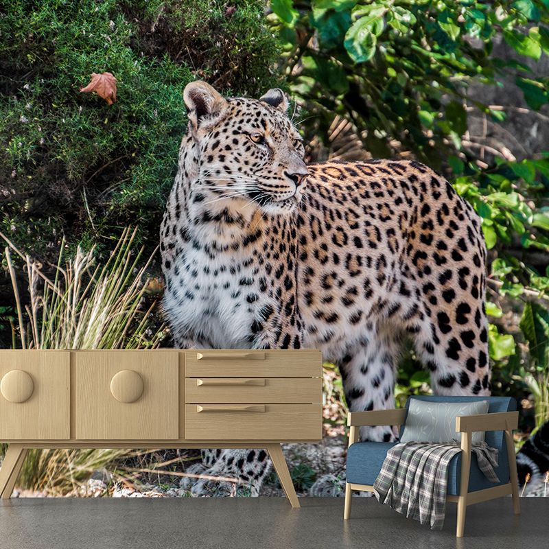 Customized Leopard Wall Mural Contemporary Photography for Bedroom Living Room
