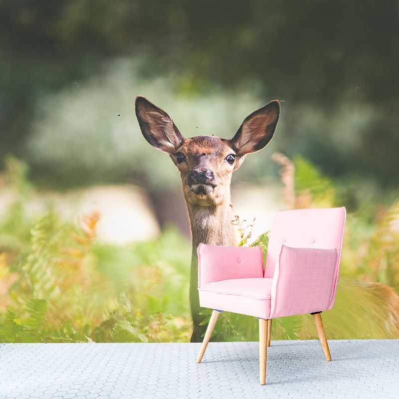 Natural Scene Wall Decor Wild Animal Mural Horizontal Photography Sleeping Room Wall Mural