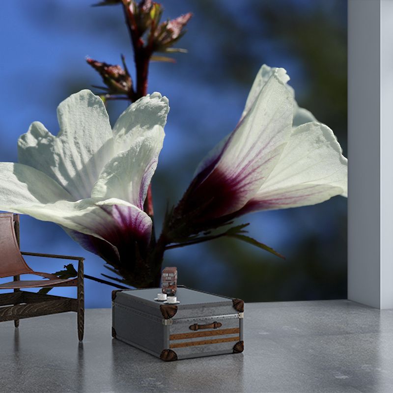 Customized Moisture Resistant Mural Wallpaper Decal Hibiscus Blooming Wall Decor