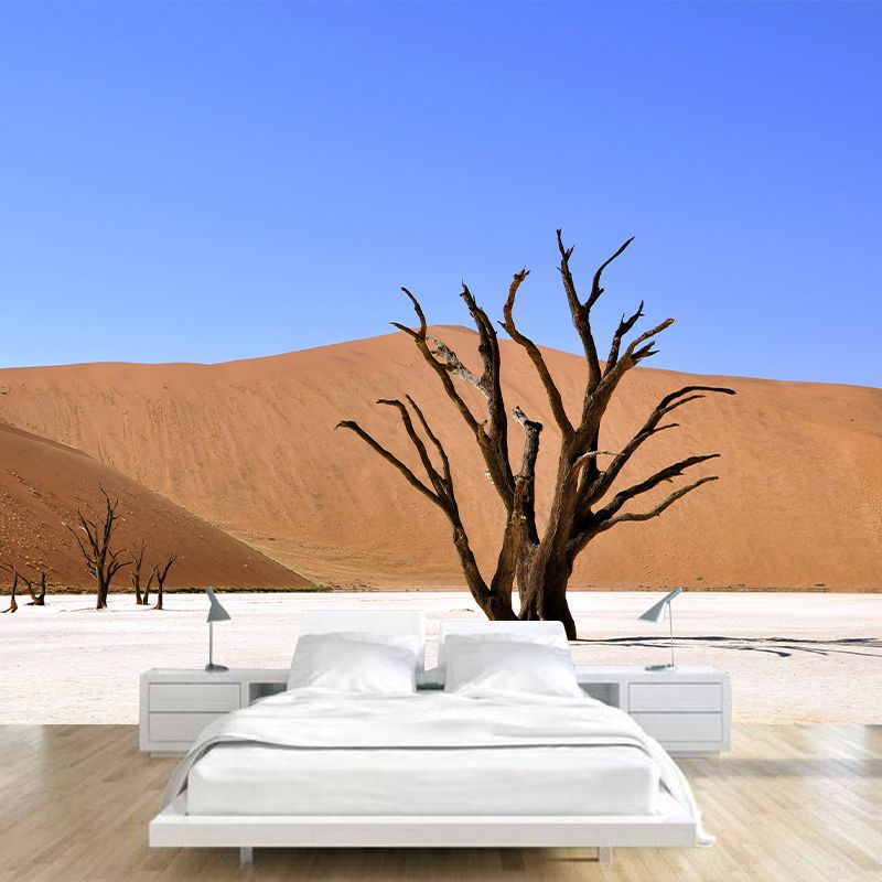 Photography Wallpaper Dry Desert Modern Stain Resistant for Accent Wall