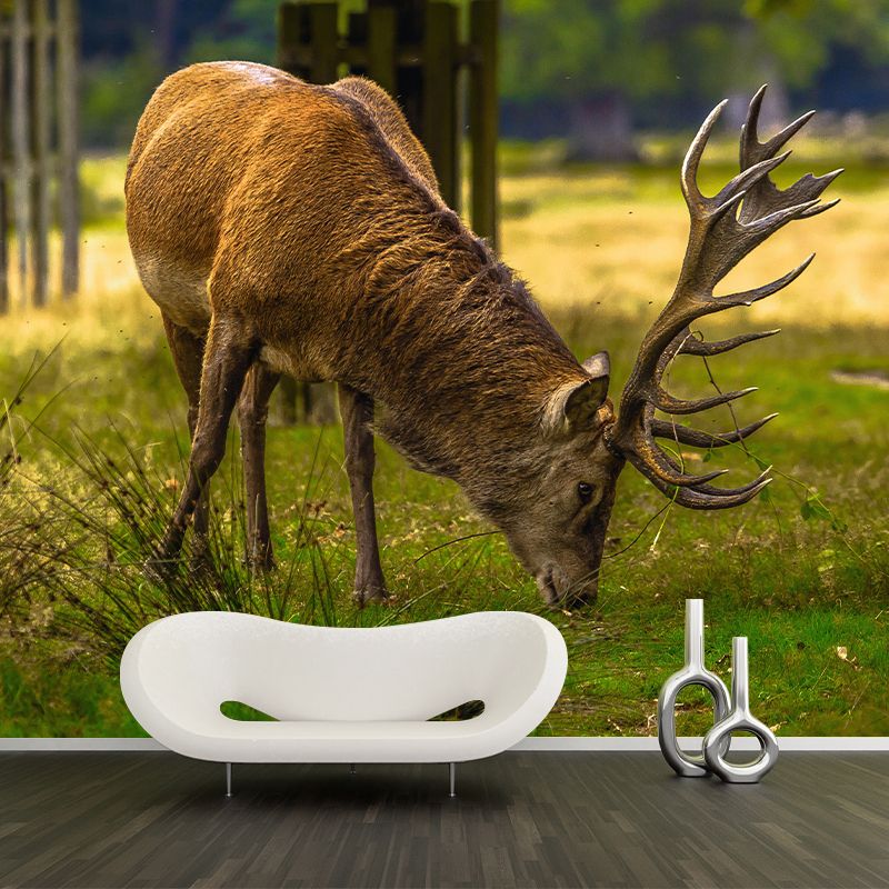 Deer Animal Mural Wallpaper Stain Resistant Wall Covering for Living Room
