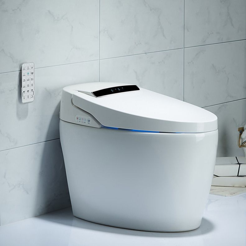 Floor Mounted Porcelain Toilet One Piece Toilet Modern Urine Toilet