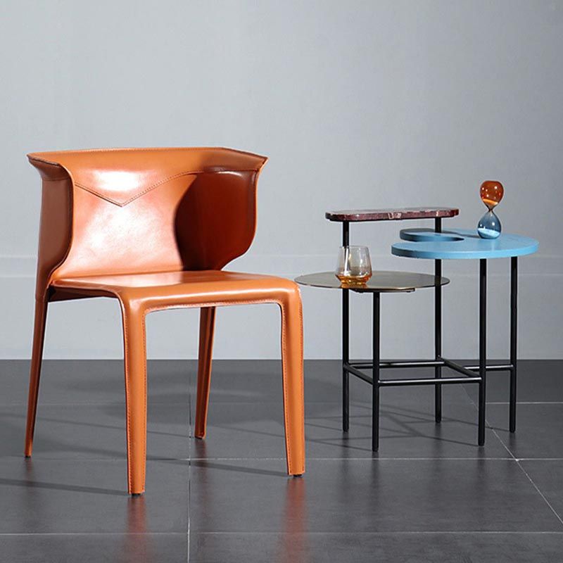 Metal Contemporary Indoor Chair with Leather Legs Matte Finish Side Chair for Dining Room