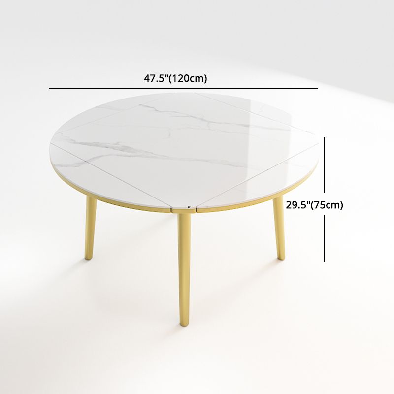 Glam 1/2/5/7 Pieces Dining Set Round Sintered Stone Dining Table for Dining Room