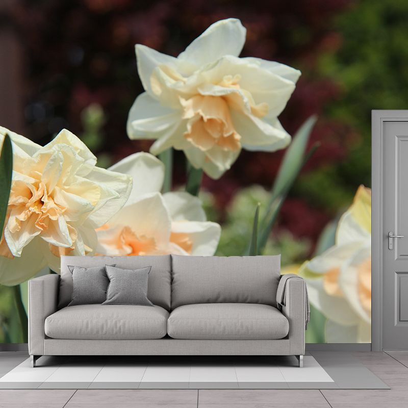 Daffodil Blossoming Flower Wall Paper Murals Waterproof Wall Decor for Bedroom