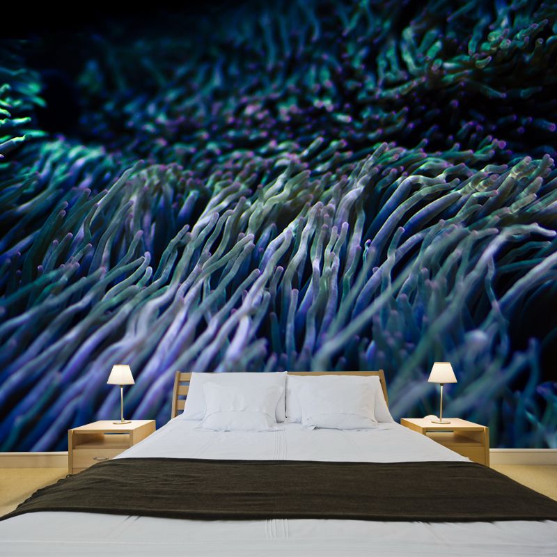 Photography Underwater World Wall Mural Contemporary Decorative Wall Murals for Bedrooms