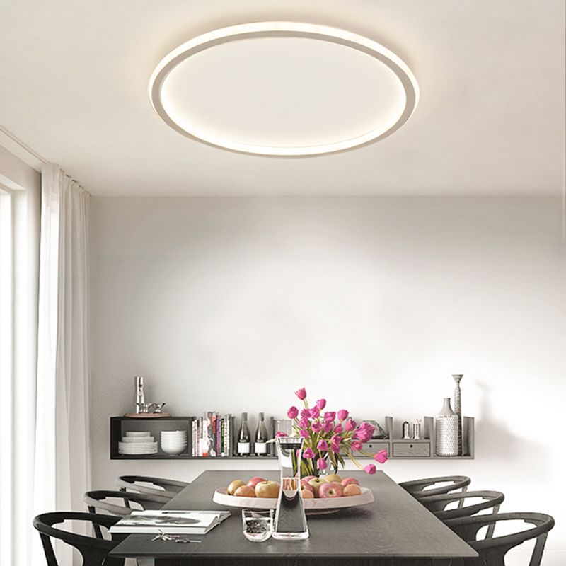Simple Style Mount Ceiling Lights Modern Ceiling Lamp for Bedroom Living Room Dining Room