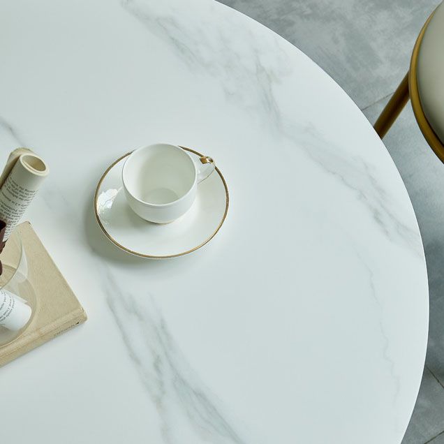 Sintered Stone Table Steel Traditional Luxury Round Indoor Table for Kitchen