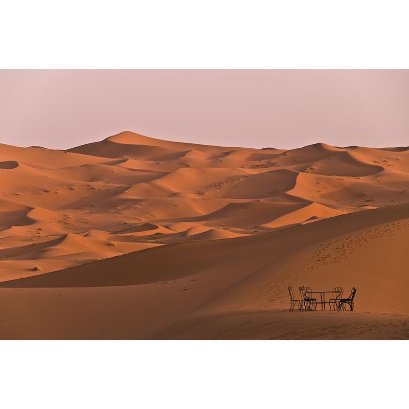 Dry Desert View Wall Mural Wallpaper Mildew Resistant Sitting Room Wall Decor