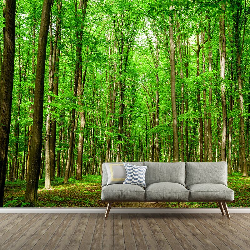 Tropical Jungle Mural Wallpaper for Meeting Room Decoration, Green, Custom Size Available