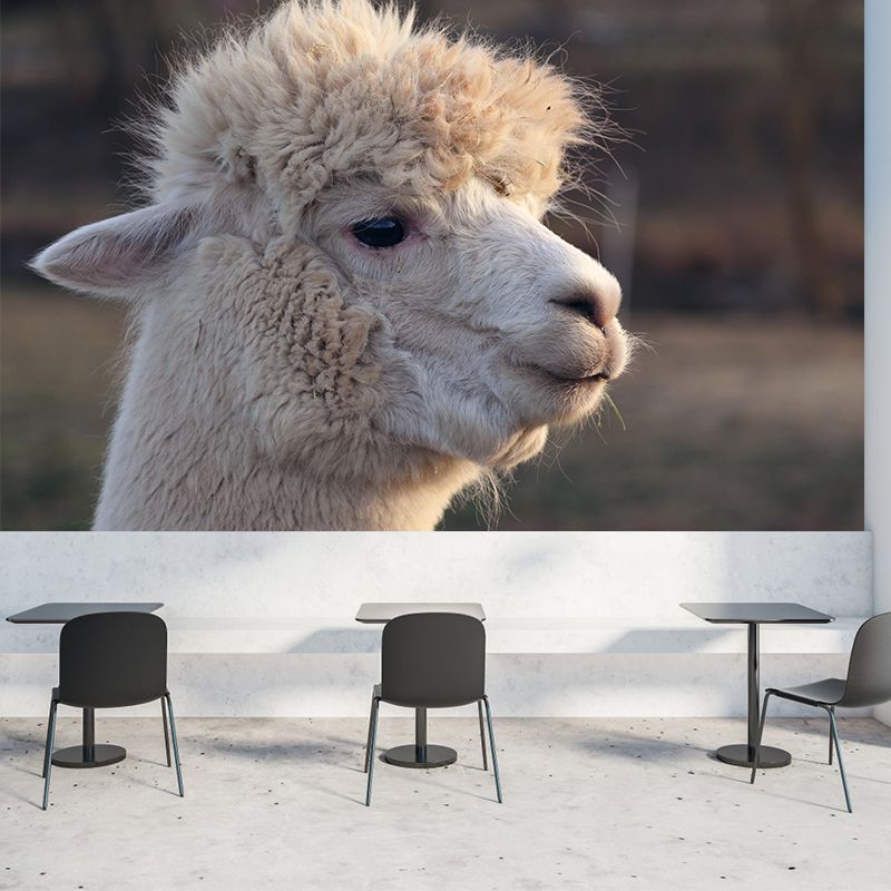 Alpaca Portrait Mural Wallpaper Contemporary Style Wall Covering for Living Room