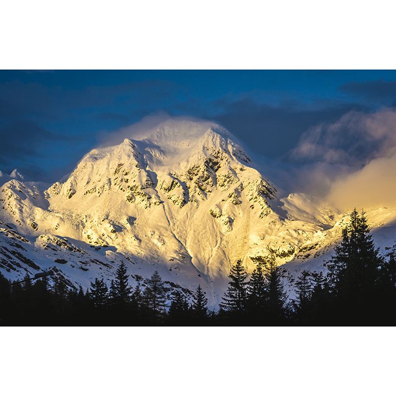 Alpine View Mural Water Resistant for Living Room Wall Decor, Made to Measure