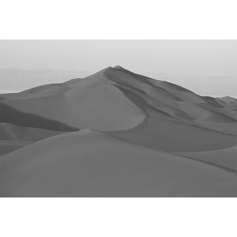 Grey Desert View Mural Stain Resistant Dining Room Wall Decor, Made to Measure