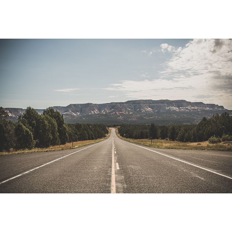 Photography Outdoor Path Wall Mural Living Room Mural Wallpaper