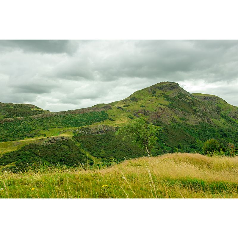 Mountain Landscape Mural Wallpaper Water Resistant Wall Covering for House Interior