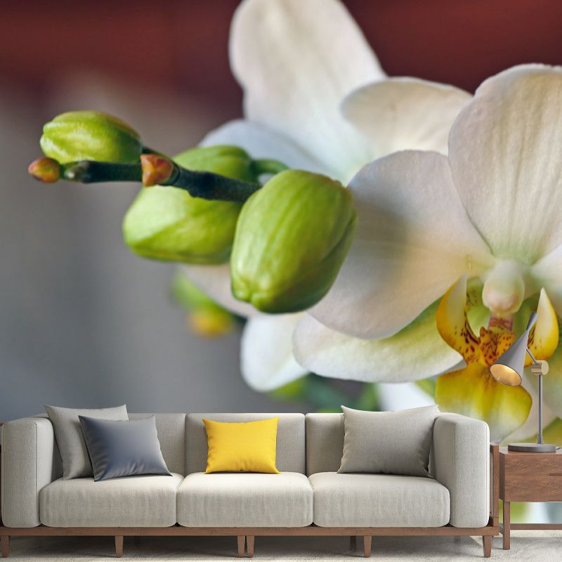 Orchid Contemporary Mural Decal Sitting Room Moisture Resistant Wall Decor