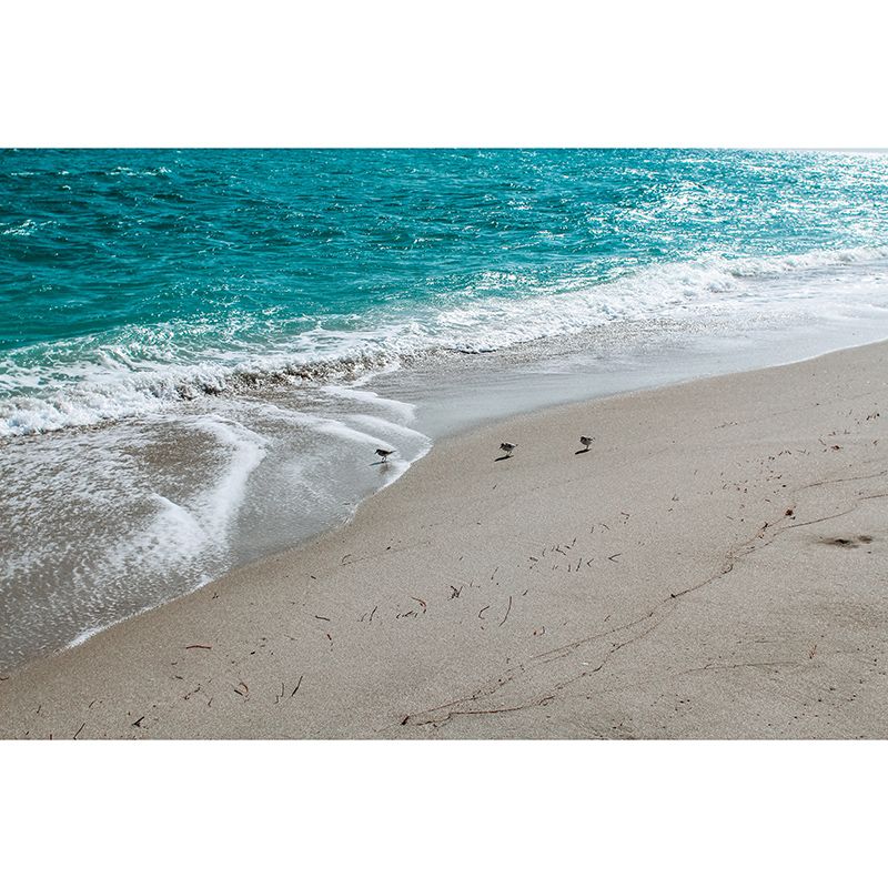 Washable Stain Resistant Mural Wallpaper Coastal Scenery Indoor Wall Mural