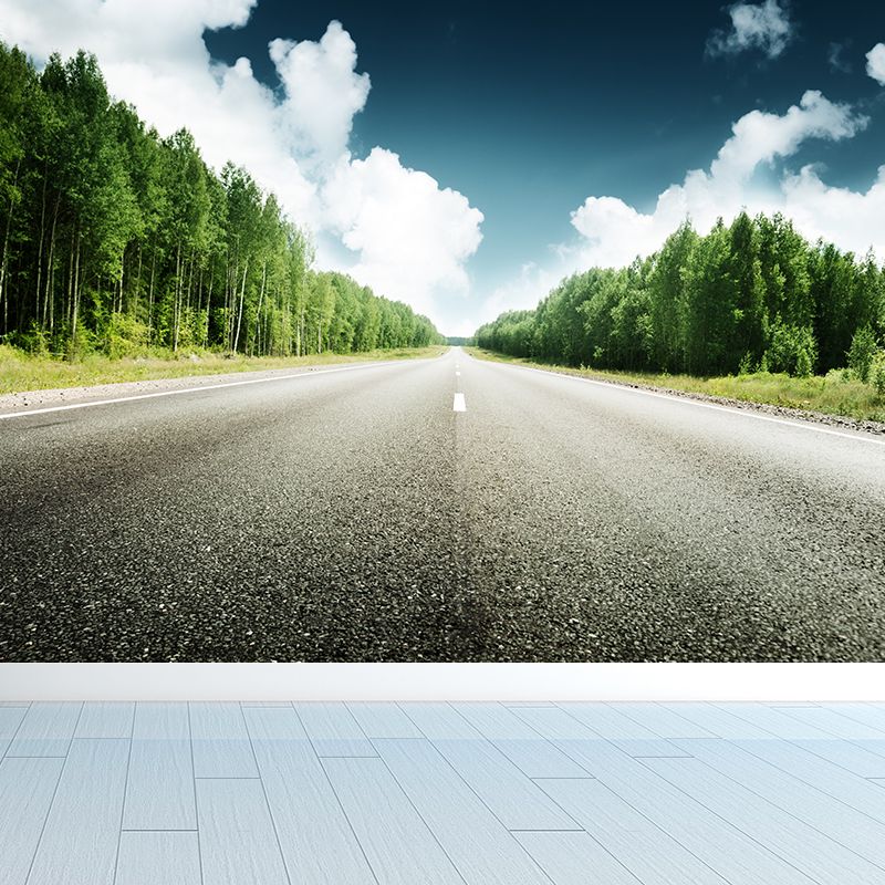 Highway Scene Mural Wallpaper Modern Non-Woven Cloth Wall Covering in Soft Color