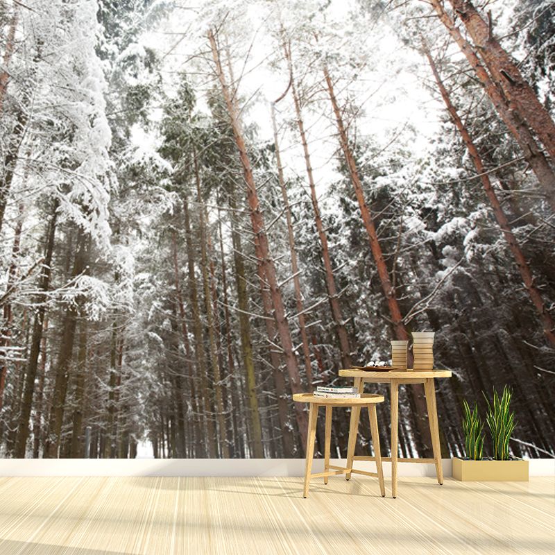 Brown Modern Art Mural Full Size Looking Up to Snow Forest Wall Covering for Living Room