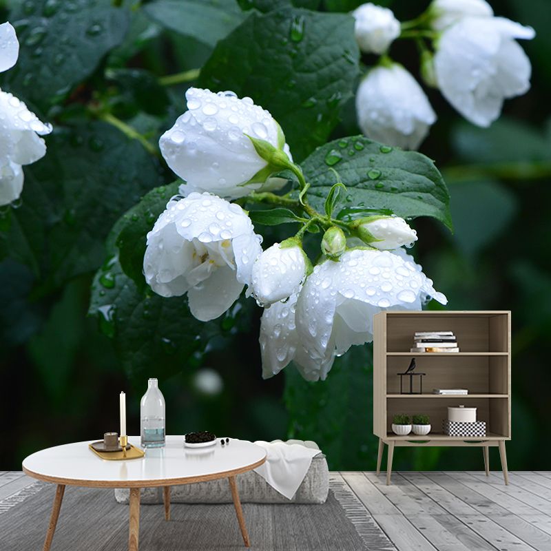 Photography Blossoming Jasmine Mural Decal Mildew Resistant Whole Wall Decor for Girls Room