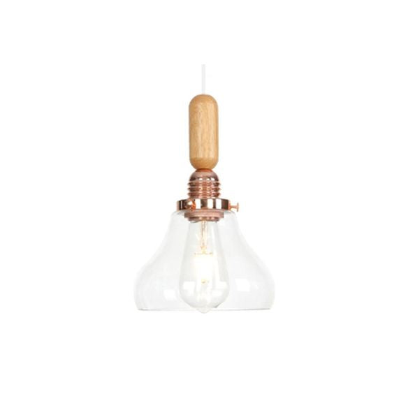 Globe/Cone/Small Bell Pendant Lighting Vintage Clear Glass 1 Licht Roségoud/Chrome hangende lamp met verstelbaar koord